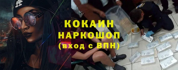 спайс Инта